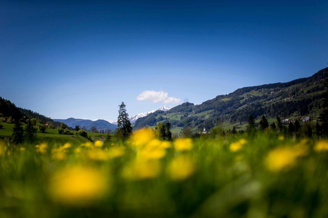 Gartenloft An Der Mur Murau Exterior foto